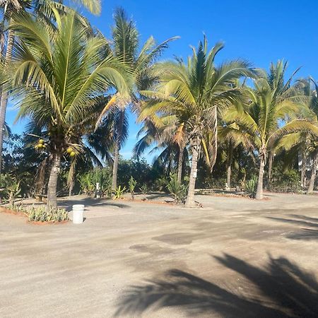Bungalows Laguna Del Tule San Patricio Melaque Kültér fotó